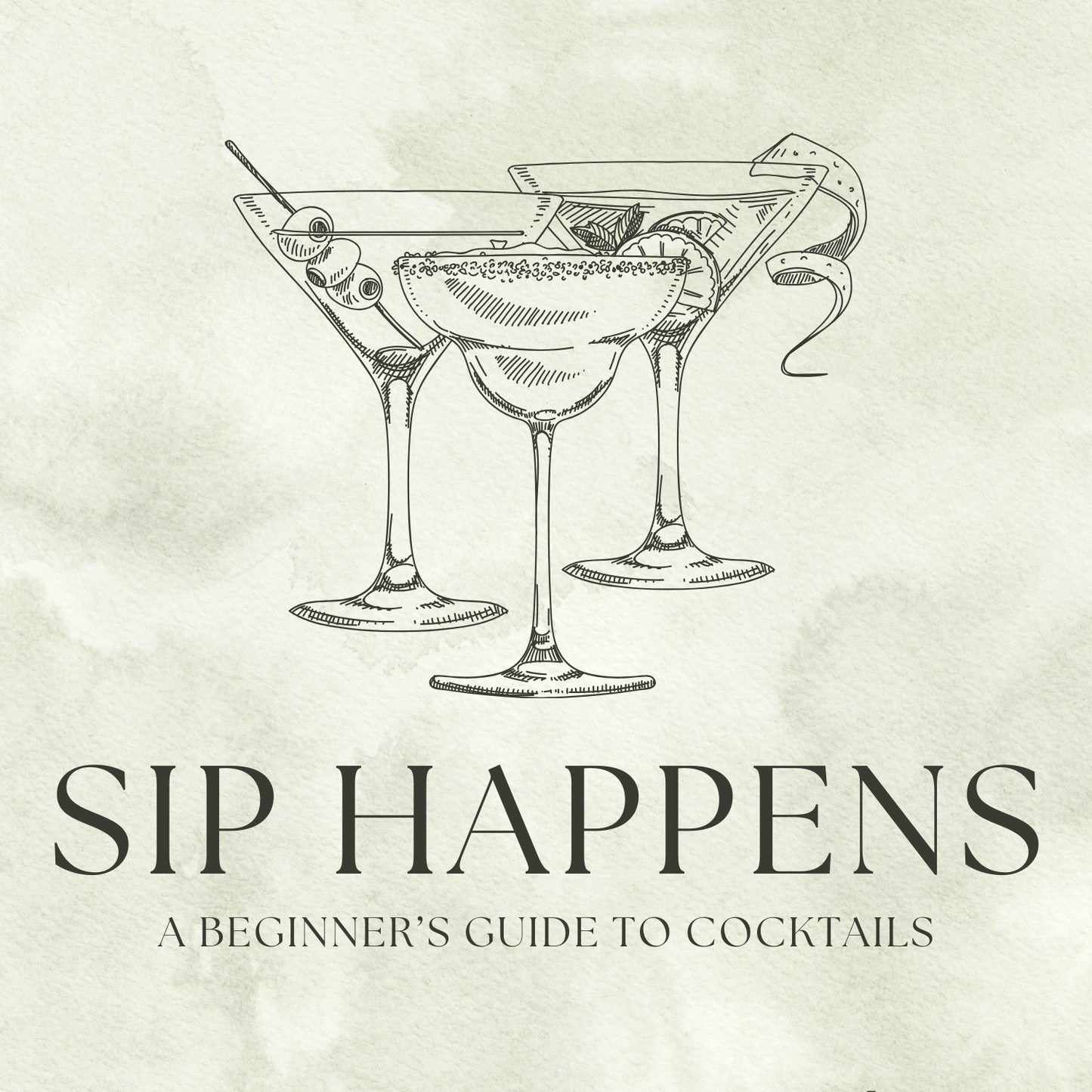 Sip Happens: A Beginner's Guide to Cocktails eBook